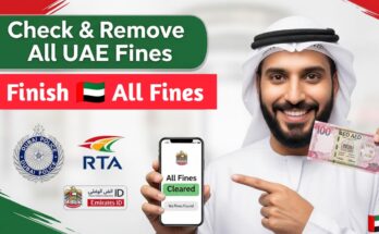 How to Check and Remove All Types of Fines in the UAE